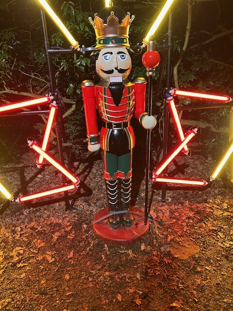 Wednesday 10 December visit to Wimpole Hall illuminations